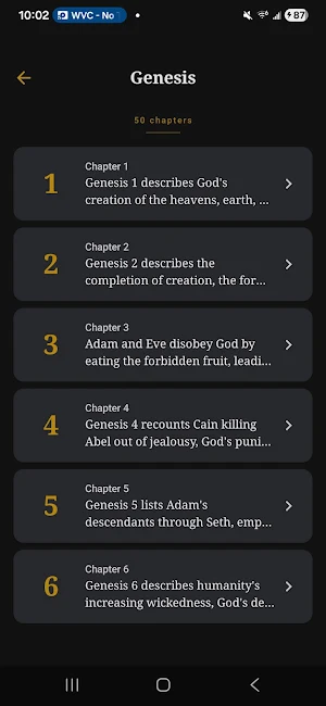 Lumina: AI Bible Study & Audio Screenshot 1