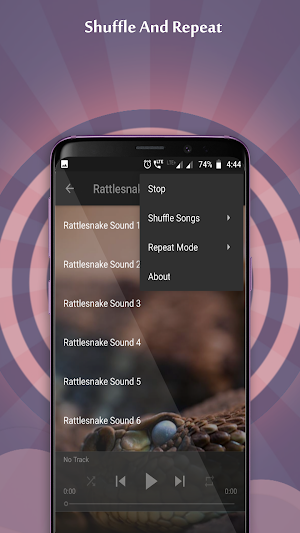 Rattlesnake Sounds Screenshot 1