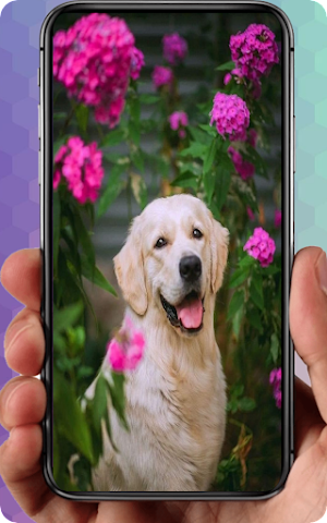 Cute Puppy Wallpaper Screenshot 3
