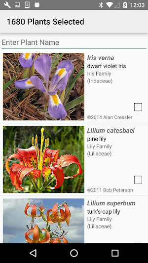 Georgia Wildflowers Screenshot 1