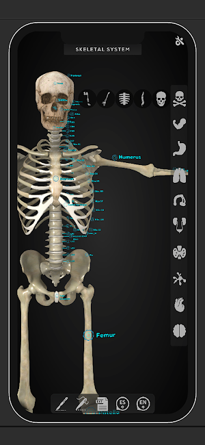 Virtual Medical Anatomy Screenshot 1