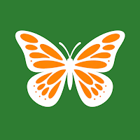 Caterpillar & Butterfly ID