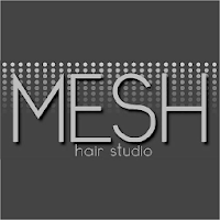 Mesh Hair Studio