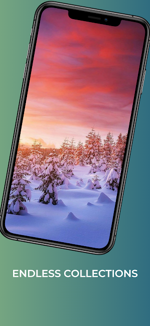 Winter wallpapers- 4k animals Screenshot 2