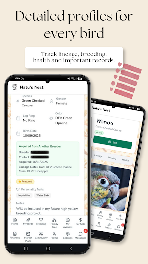 Natus Nest Screenshot 2