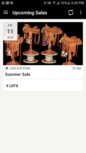 Old West Auctions Screenshot 0