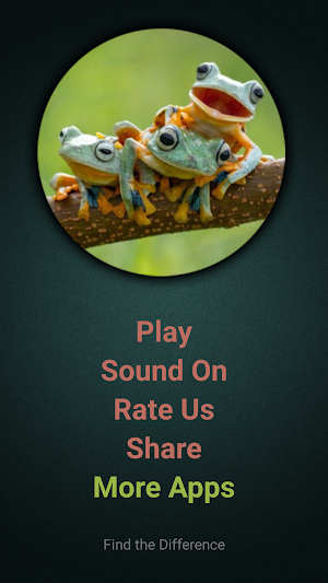 Find The Frog Screenshot 0