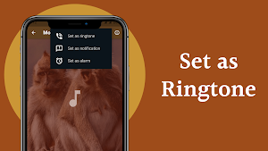 Monkey Sounds Screenshot 3