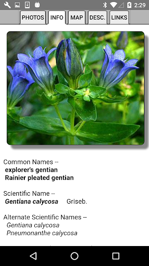 Glacier NP Wildflowers Screenshot 3