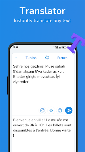 Turkish-French translator Screenshot 0
