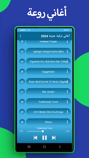 أغاني تركية حزينة-2024 بدون نت Screenshot 3