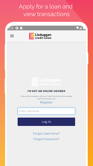 Lisduggan Credit Union Screenshot 1