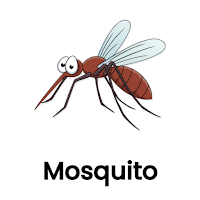 Mosquito