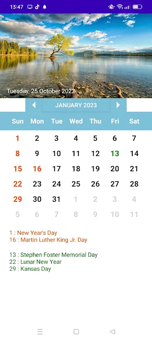 USA Calendar Screenshot 0