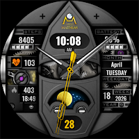 DM166 Luxury Gyro Watch Face