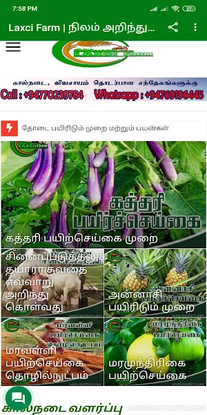 Laxci Farm Screenshot 0