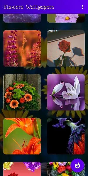 🌺🌹🌷 Flowers Wallpapers : Colorful Flowers Bgs Screenshot 2