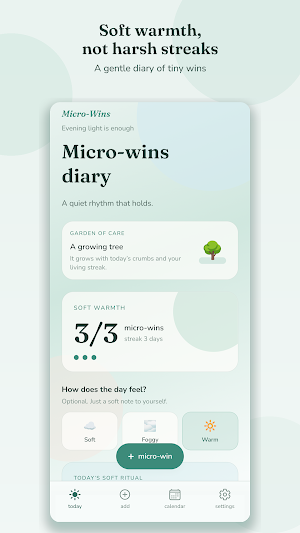Micro-Wins Screenshot 0
