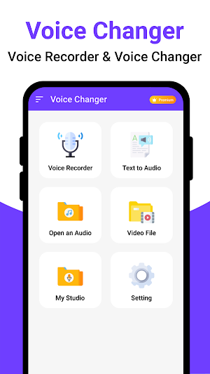 Voice changer : Voice effects Screenshot 0