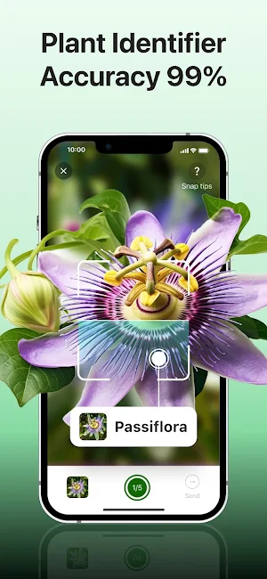 Plant disease identifier Screenshot 0