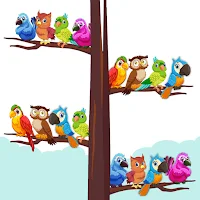 Bird Sort Color Puzzle Game 3D