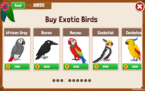 Bird Land Paradise: Pet Shop Game, Play with Bird Screenshot 3