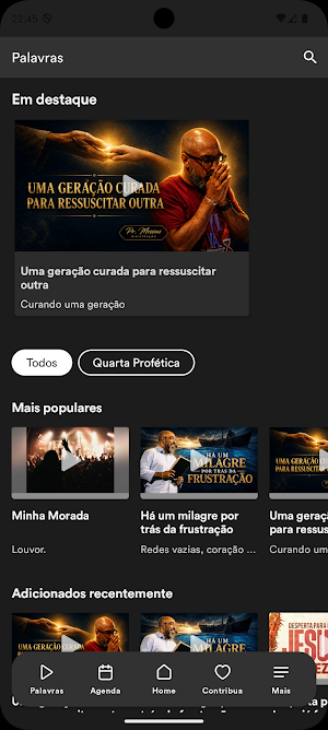 VIDANAPALAVRA Screenshot 1