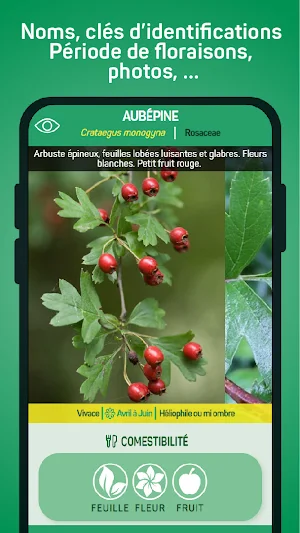 Vegedex, l'appli sauvage Screenshot 1