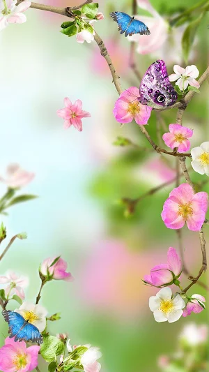 Beautiful Flowers Wallpaper HD Screenshot 1