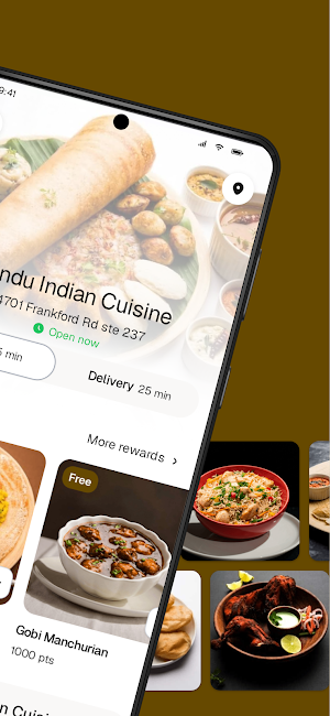 Vindu Indian Cuisine Screenshot 1