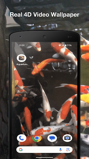 Aquarium Koi Live Wallpaper Screenshot 2