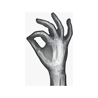 Radiology Courses