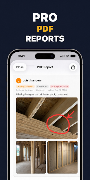 Punch List: Inspection Report Screenshot 2