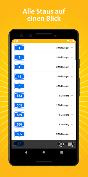 SWR1 Baden-Württemberg Screenshot 1