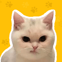 Funny Cats Stickers