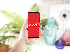 OWS Jewellery Screenshot 0