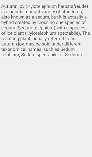 Sedum Autumn Joy Screenshot 1