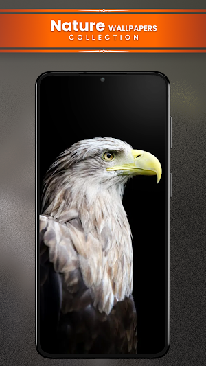 Nature Wallpapers HD Screenshot 3
