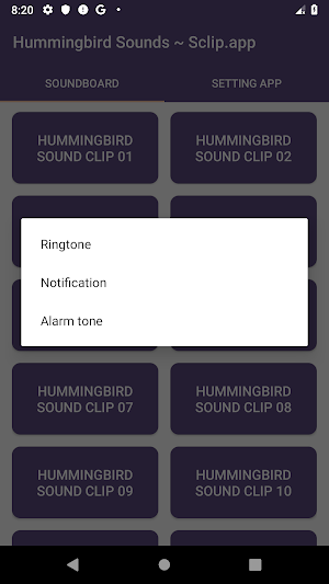 Hummingbird Sound Collections ~ Sclip.app Screenshot 3