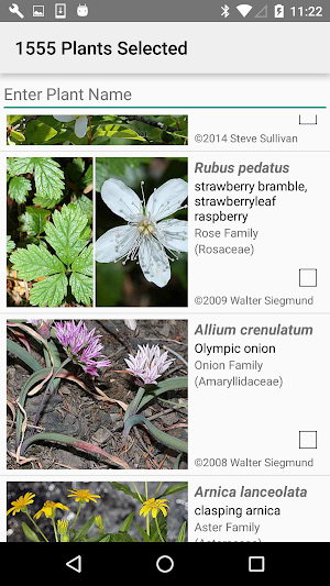 Washington Wildflower Search Screenshot 2