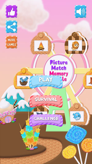 Picture Match : Memory Puzzle Screenshot 0