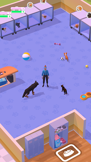 Strays Paradise Screenshot 2