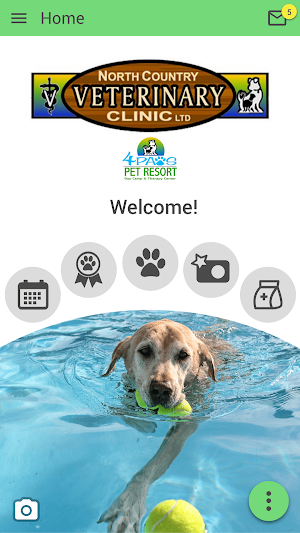 NCVC 4 Paws Screenshot 0