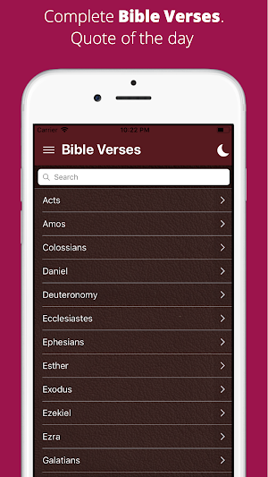 Bible Verses - Jesus Quotes Screenshot 2
