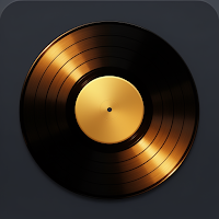Groove Disk Vault