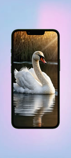 Angsa WalL Screenshot 2