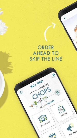 Original ChopShop Screenshot 1