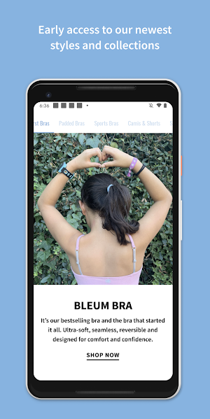 Bleuet Screenshot 1