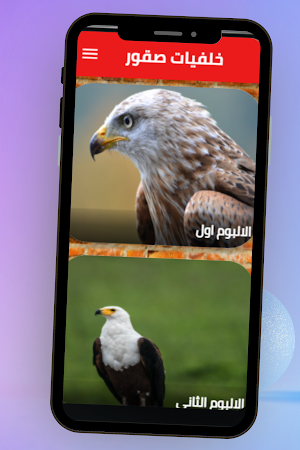 خلفيات صقور Screenshot 3