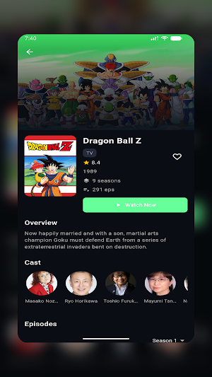 AniFlex Screenshot 1